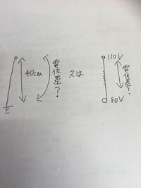 虫を殺すことに罪悪感があります 先ほど部屋に蟻が数匹いてティッ Yahoo 知恵袋