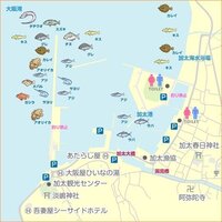 和歌山県来週加太港に釣りに行こうと思ってます それでこの画像の中からど Yahoo 知恵袋