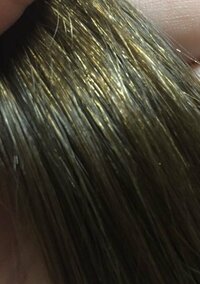 私の髪の毛なのですが 光に当てると ギラギラと金色に光る髪の毛が Yahoo 知恵袋