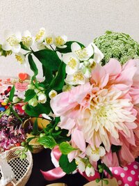 こんな花ありますか 花弁が4枚の花 沢山ありますよ 下記のサイ Yahoo 知恵袋