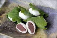 うちの犬が柏餅に付いている葉っぱ 写真の を 食べてしまいました Yahoo 知恵袋