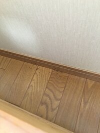 至急 アリが家の中の壁の隙間から大量発生して困っています とりあえず酢を撒いて動 教えて 住まいの先生 Yahoo 不動産