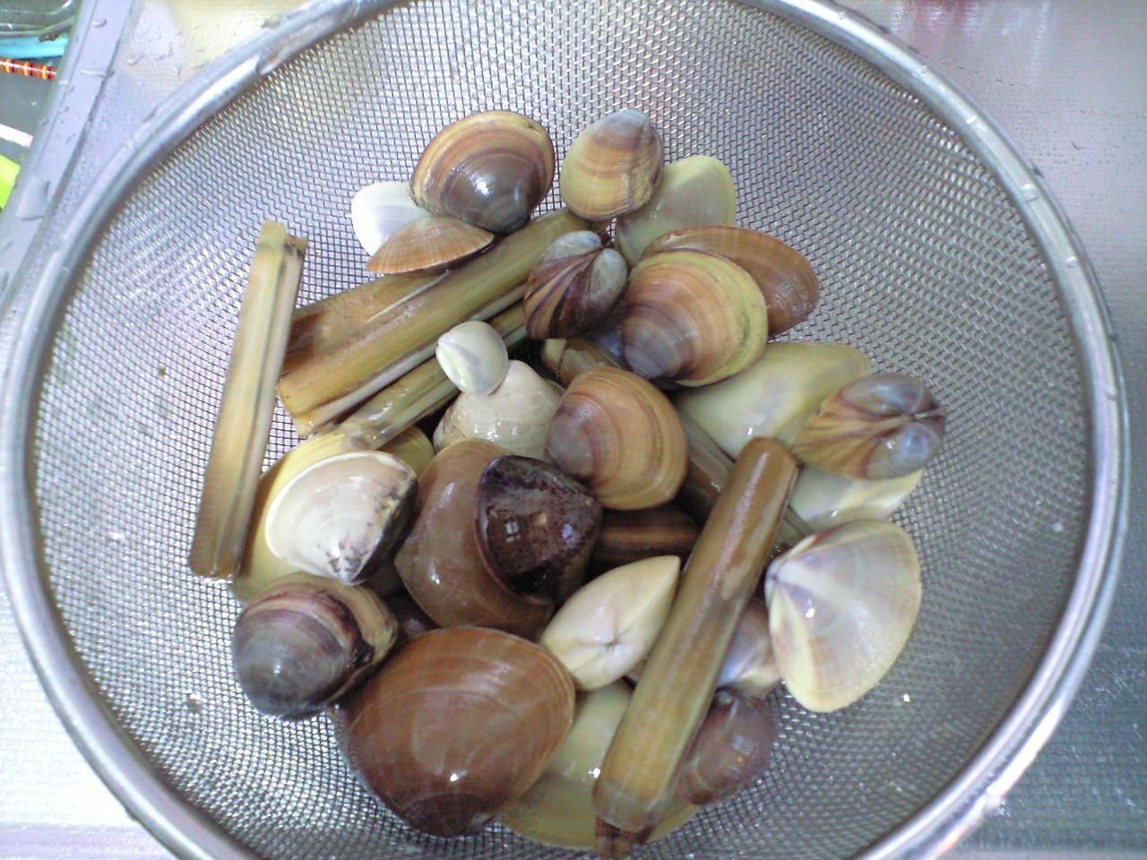 一番不味い貝は何ですか にたり貝だよ全くあれほど似てるとはナ Yahoo 知恵袋