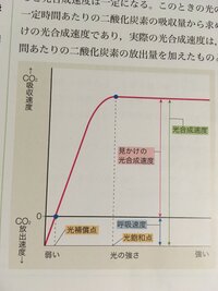 植物が育つには 呼吸による二酸化酸素の吸収速度が 放出速度を上回らないといけ Yahoo 知恵袋