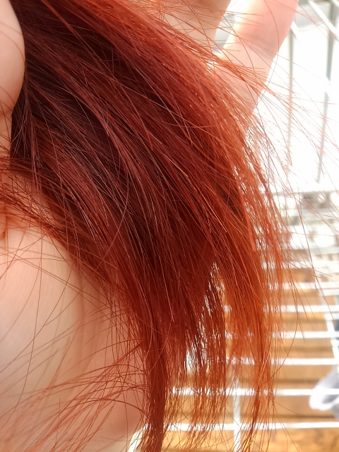 スタイリッシュロゼ に関するq A Yahoo 知恵袋