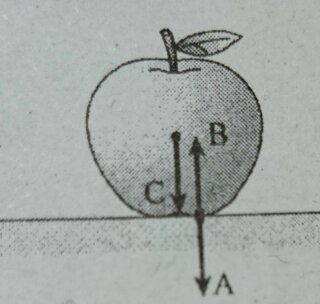 物理の問題について水平な机の上にりんごを置く りんごが受ける重力は Yahoo 知恵袋