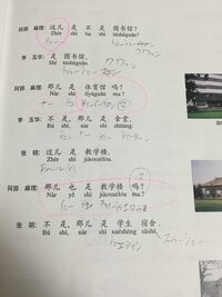 大至急 英語にやくしてください私は友達とディズニーランドへ Yahoo 知恵袋