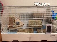 本日うさぎのケージ模様替えをしました うさぎは生後2ヶ月半の男の子 飼 Yahoo 知恵袋