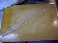 イカの骨 スーパーで売ってるイカのプラスチックみたいな細長い透明な骨みたい Yahoo 知恵袋
