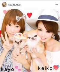 ゲームセンターはペット同伴可 犬といっしょにプリクラを撮りたい Yahoo 知恵袋