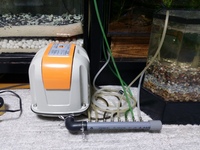 エアーポンプをブロア40lに変更しました 凄い容量でブクブクうるさ Yahoo 知恵袋