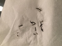 メダカ水槽の中に発生する細く小さな黒い芋虫 について 5月から 水 Yahoo 知恵袋