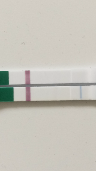 妊娠検査薬 幻 ラッキーテスト