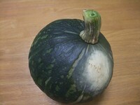 カットされたカボチャを4 5日野菜庫に入れとくと 切り口に白い粉が Yahoo 知恵袋