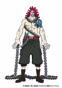 ワンピース ２年後のキラーってさ 左腕に血管 が浮き出ている Yahoo 知恵袋