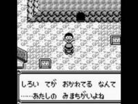 ポケットモンスター金銀では 野生のカラカラとガラガラの2 は太い骨を持っている Yahoo 知恵袋