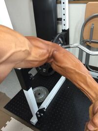 筋トレをしている方どうして腕を鍛えると血管がでるんですか おしえて下さ Yahoo 知恵袋