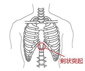 腹筋の筋肉痛について 腹筋を鍛えていて やっている最中は お腹 Yahoo 知恵袋