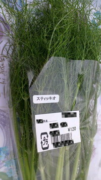 スティッキオという野菜に詳しい方教えてください スティッキオは Yahoo 知恵袋