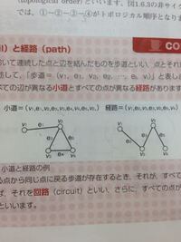 サイクリックグラフの小道と経路 サイクリックグラフのすべての辺が異なるものが小道ですべての点が異なるものが経路ってのが分かりません。

すべての辺が異なる、つまり(v1,e1,v2,v1,e1,v3)となったらすべての辺は異なっていないという事でしょうか？

それとも不連続、定められた順序と異なっている、(e1,e3,e4,e5)のようにe2が抜けているからなんでしょうか？
という事なら(v...