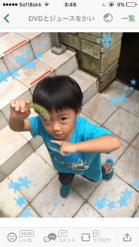 海老蔵の息子である勸玄の顔面の可愛さは 海老蔵と麻央が整形なしの美形であるこ Yahoo 知恵袋