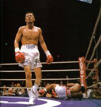 辰吉丈一郎は人気ありましたか どのくらいの人気でしたか 関西では人気が Yahoo 知恵袋