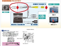 質問の画像