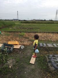 除草剤に詳しい方 ご教授願います 農業をしており 園には多種の雑草が生 Yahoo 知恵袋