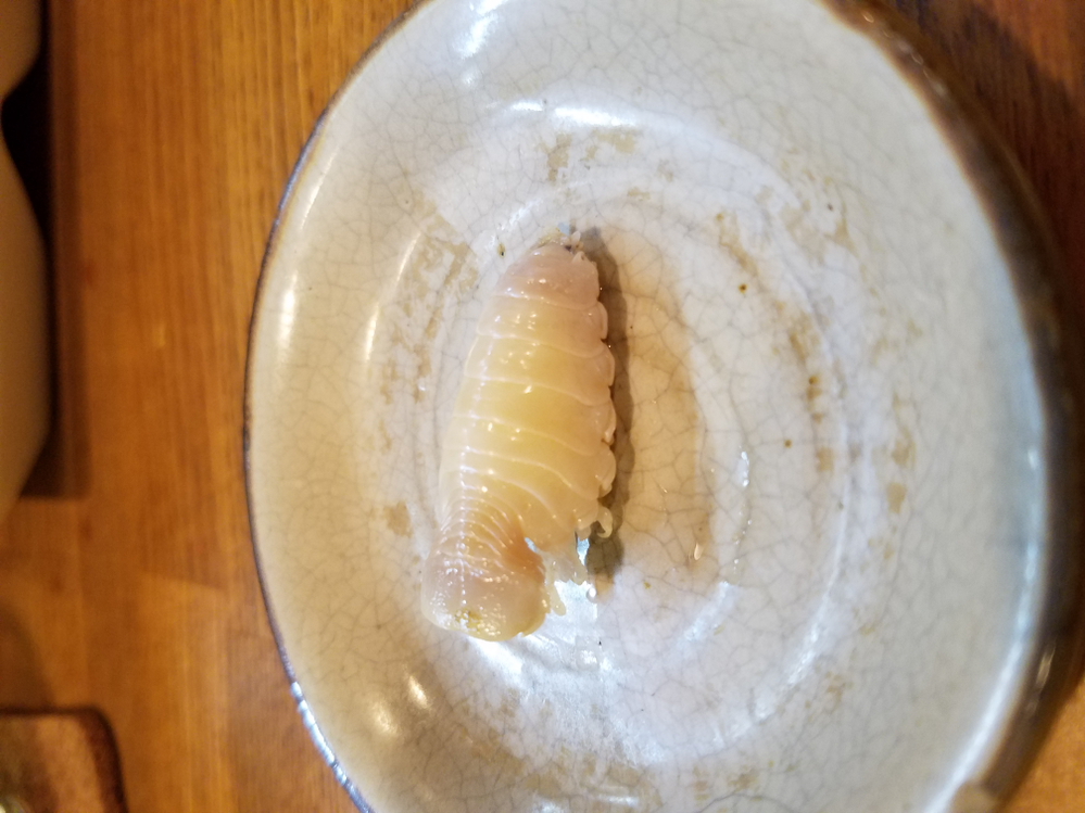 ウニって何類ですか? 「ウニ」は棘皮動物門ウニ綱という分類群... Yahoo!知恵袋