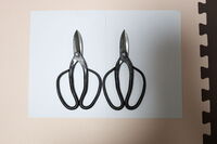 にちへん 日 に 軍 という漢字は何と読むのでしょうか 人名で き と Yahoo 知恵袋