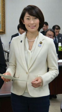 自民党の稲田さんが総裁選に出たいらしい 世間知らずで 防衛大臣の Yahoo 知恵袋