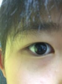 この目は タレ目ですか つり目ですか それはタヌキ女の目です Yahoo 知恵袋