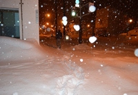 雪の中で目立つ色は何色ですか 雪国在住です 徒歩通勤をしているので 事 Yahoo 知恵袋