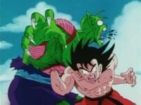 ドラゴンボールについて質問です 第23回天下一武道会のピッコロ マ Yahoo 知恵袋