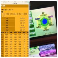 ポケモンsm ソルガレオ厳選 ソルガレオのしていたら画像の様 Yahoo 知恵袋