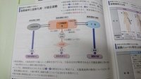 錐体路と錐体外路について質問です これ系統の質問は多数あるのですが Yahoo 知恵袋