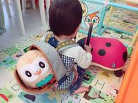 ポケモンのモクローぬいぐるみ についてツイッターで見かけたこの Yahoo 知恵袋