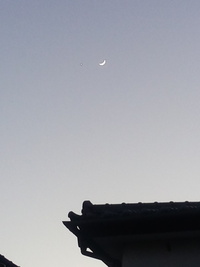 今日夕方 西の空を見たら 三日月のそばに明るい星がありました 何で Yahoo 知恵袋