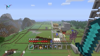 Minecraftpc Ps4 3 Wiiu Vita 村を拡張 Yahoo 知恵袋