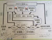 このマイクラは違法ですよね Http M Apkhere Com A Yahoo 知恵袋