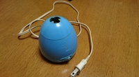 今年から家で紙魚が出るようになって 天然ハーブの防虫剤を買ったと思った Yahoo 知恵袋