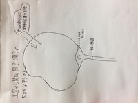 出産経験のある方 産褥ショーツとt字帯の使用の方法 必要性を教えて下さい 必 Yahoo 知恵袋