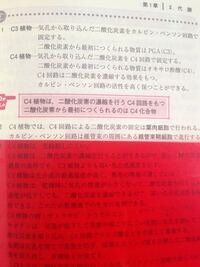 維管束鞘細胞の読み方を教えて下さい いかんそくしょうさいぼ Yahoo 知恵袋