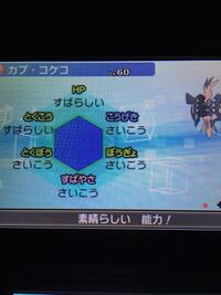 ポケモンでマジカル交換をしていたら色違いカプコケコのeng親melem Yahoo 知恵袋