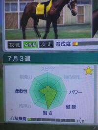 ウイニングポスト018のエディットについて私は競馬の知識があまり Yahoo 知恵袋