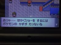 ポケットモンスタープラチナでパルパークに行きたいのですが場所を忘 Yahoo 知恵袋