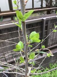 エンプレス構文ってなんですか こういうことです Yahoo 知恵袋