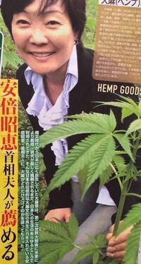 大麻 栽培 臭い