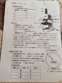 写真のプリントの顕微鏡について全て教えてください 顕微鏡の各 Yahoo 知恵袋