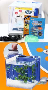 金魚の水槽のレイアウトに100均の石やガラスを入れても大丈夫ですか 金魚用や水 Yahoo 知恵袋